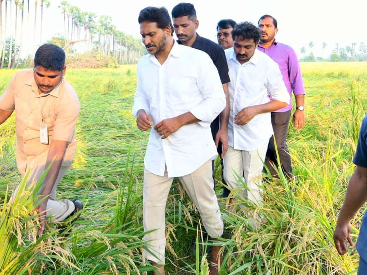 YS Jagan visits cyclone Hit farmers In Krishna District PHotos9