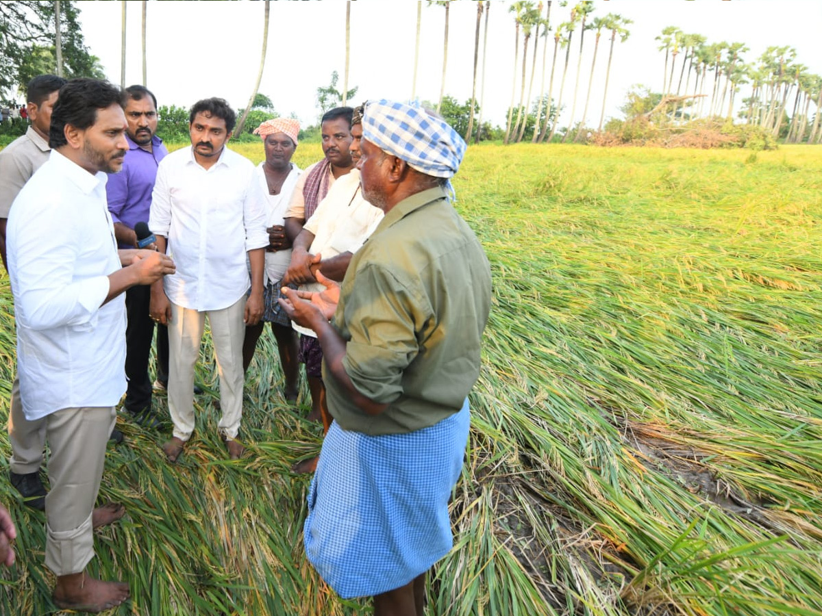 YS Jagan visits cyclone Hit farmers In Krishna District PHotos18
