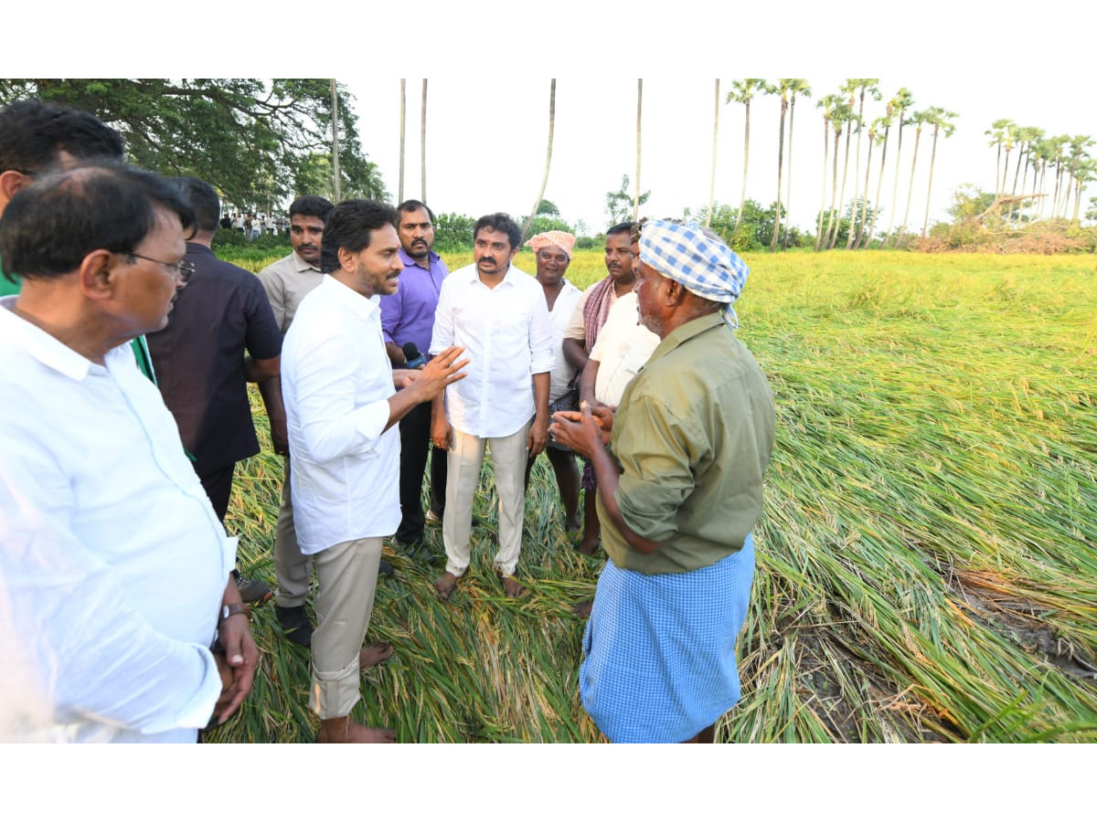YS Jagan visits cyclone Hit farmers In Krishna District PHotos19