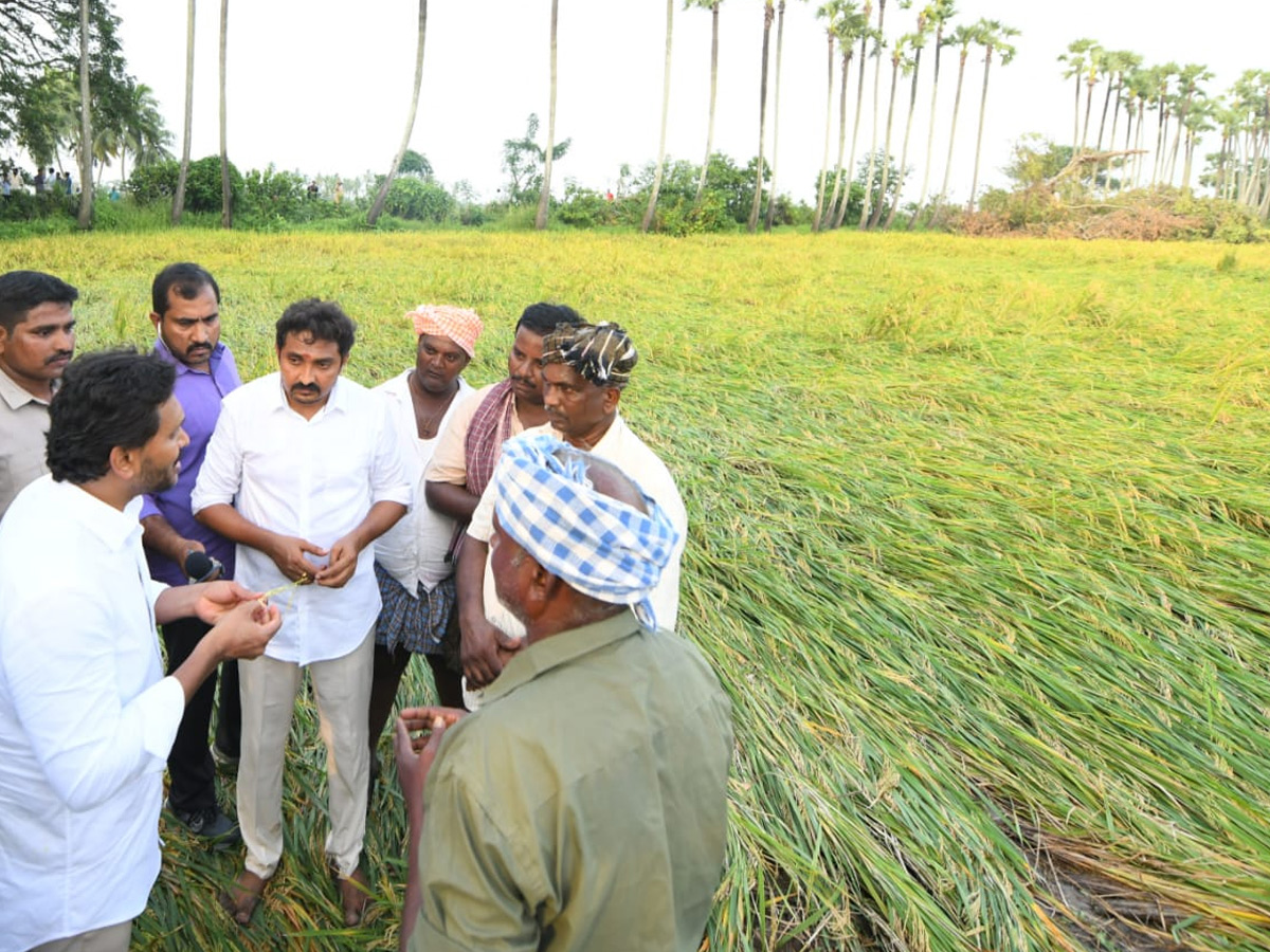 YS Jagan visits cyclone Hit farmers In Krishna District PHotos20