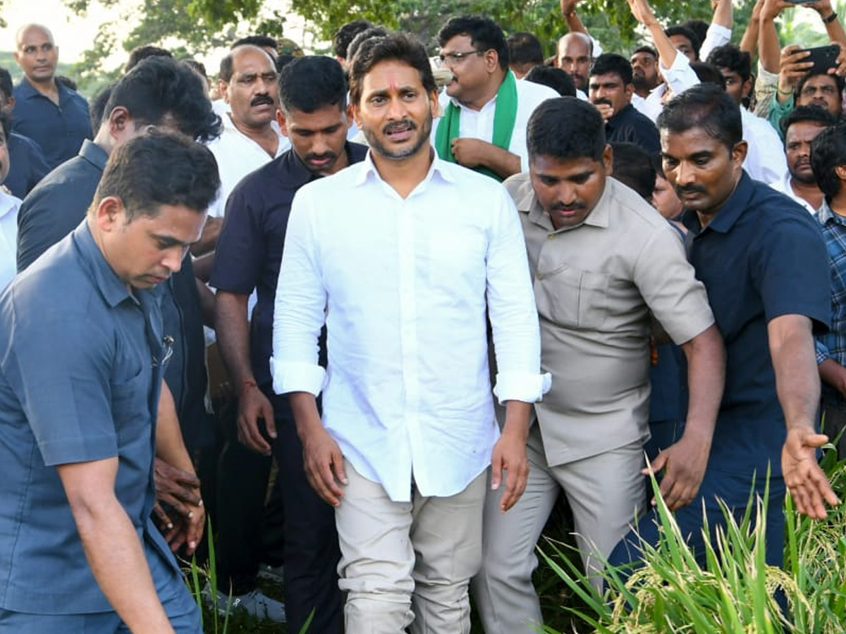 YS Jagan visits cyclone Hit farmers In Krishna District PHotos21