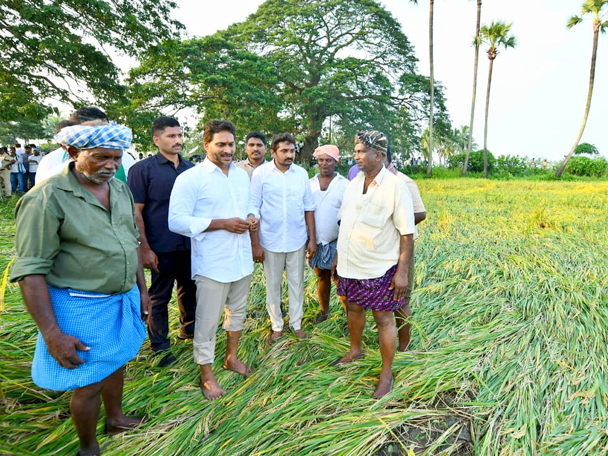 YS Jagan visits cyclone Hit farmers In Krishna District PHotos10