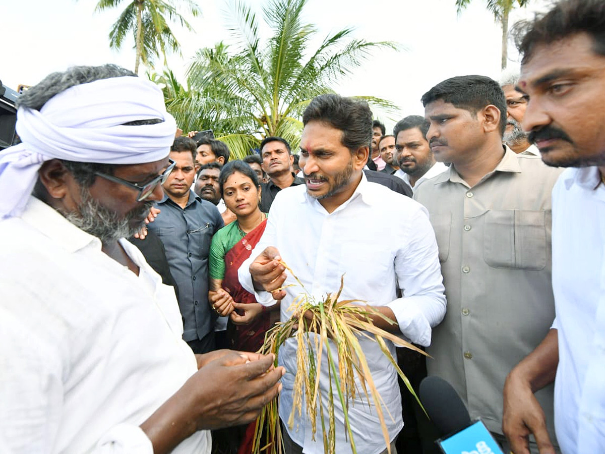 YS Jagan visits cyclone Hit farmers In Krishna District PHotos22