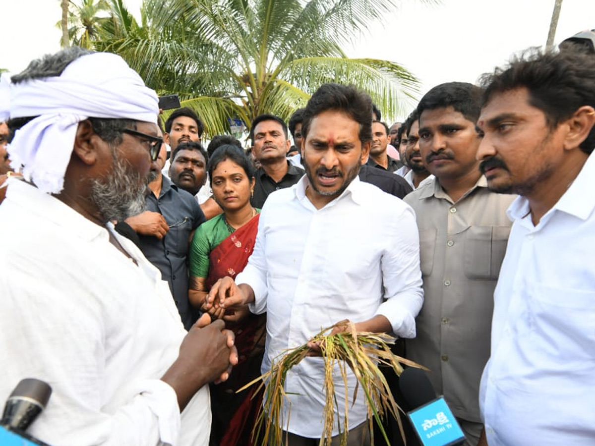 YS Jagan visits cyclone Hit farmers In Krishna District PHotos23