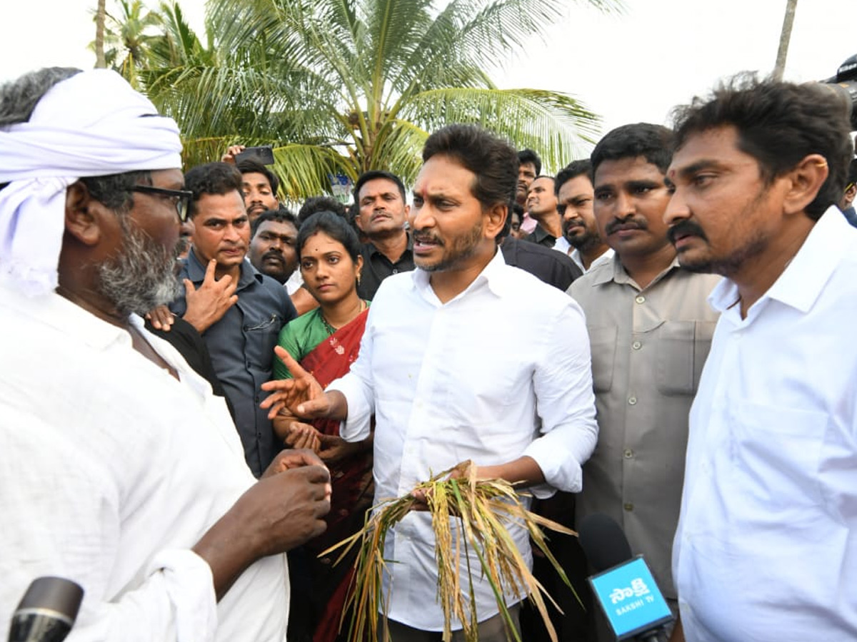 YS Jagan visits cyclone Hit farmers In Krishna District PHotos24