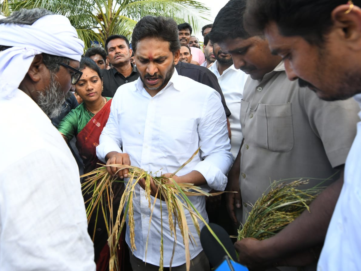 YS Jagan visits cyclone Hit farmers In Krishna District PHotos25