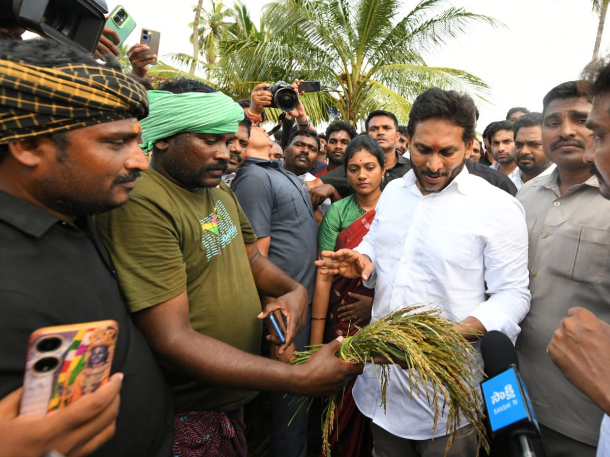 YS Jagan visits cyclone Hit farmers In Krishna District PHotos26