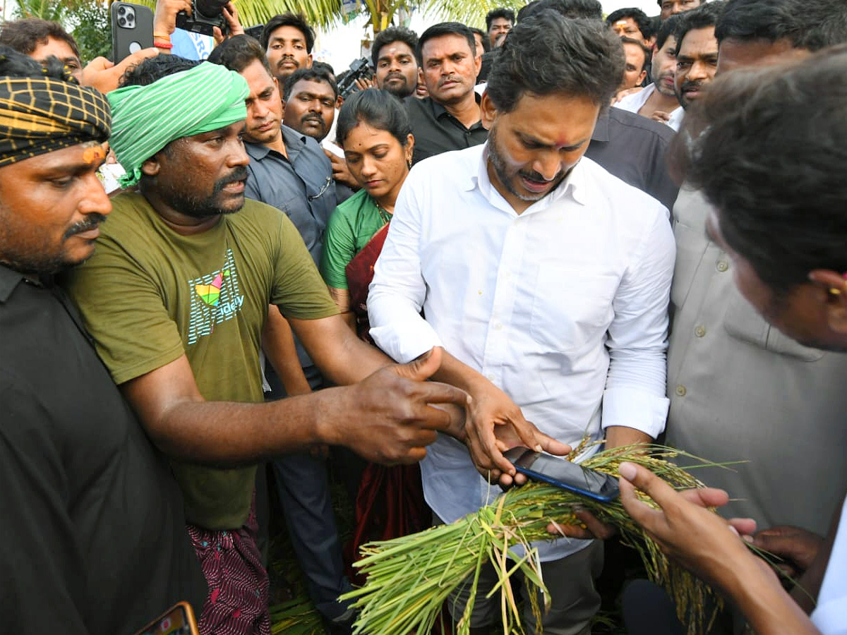 YS Jagan visits cyclone Hit farmers In Krishna District PHotos27