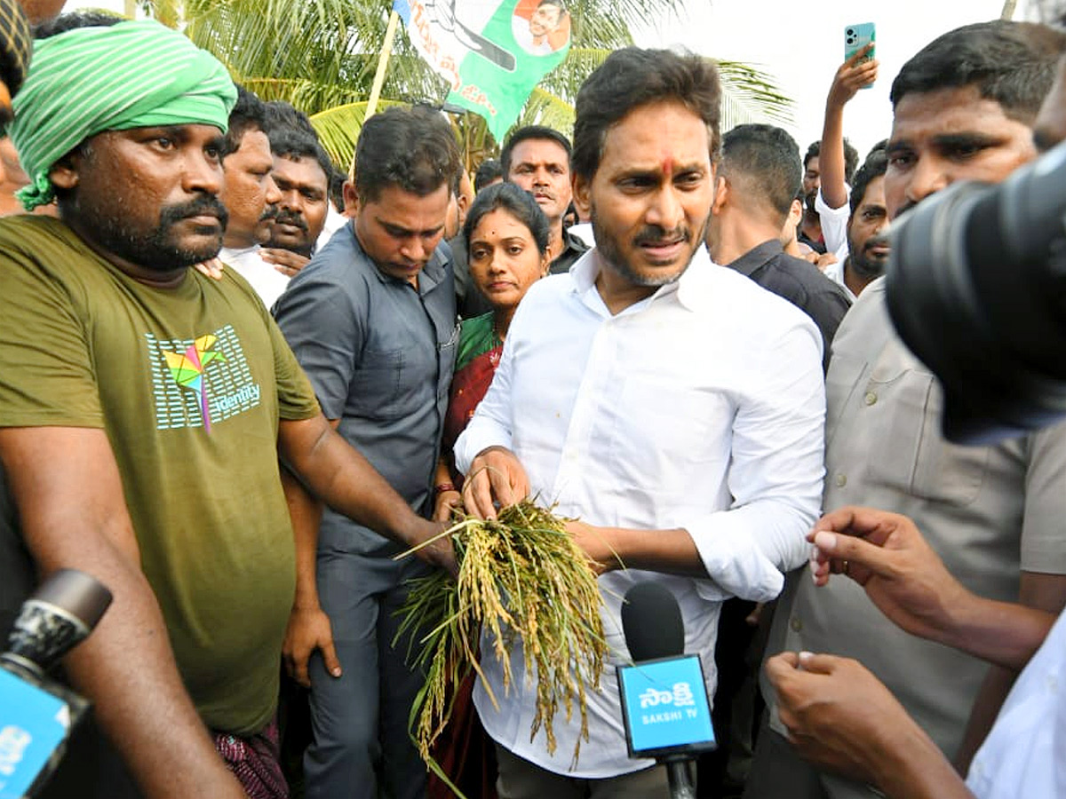 YS Jagan visits cyclone Hit farmers In Krishna District PHotos28