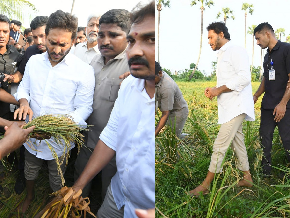 YS Jagan visits cyclone Hit farmers In Krishna District PHotos29