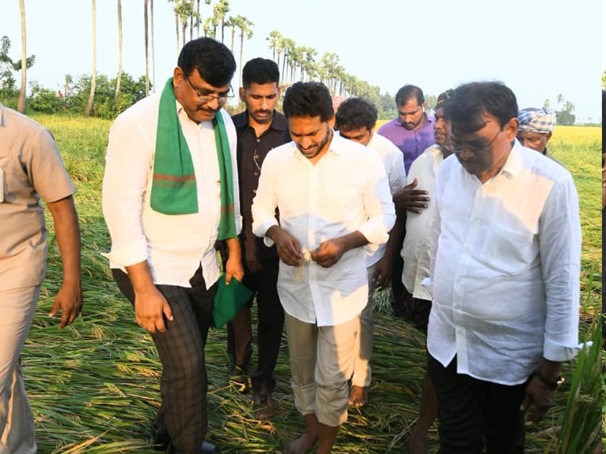 YS Jagan visits cyclone Hit farmers In Krishna District PHotos30