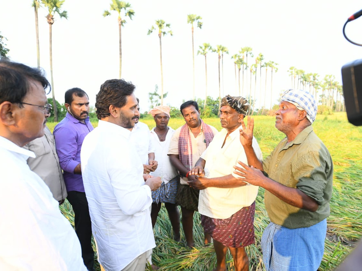 YS Jagan visits cyclone Hit farmers In Krishna District PHotos31