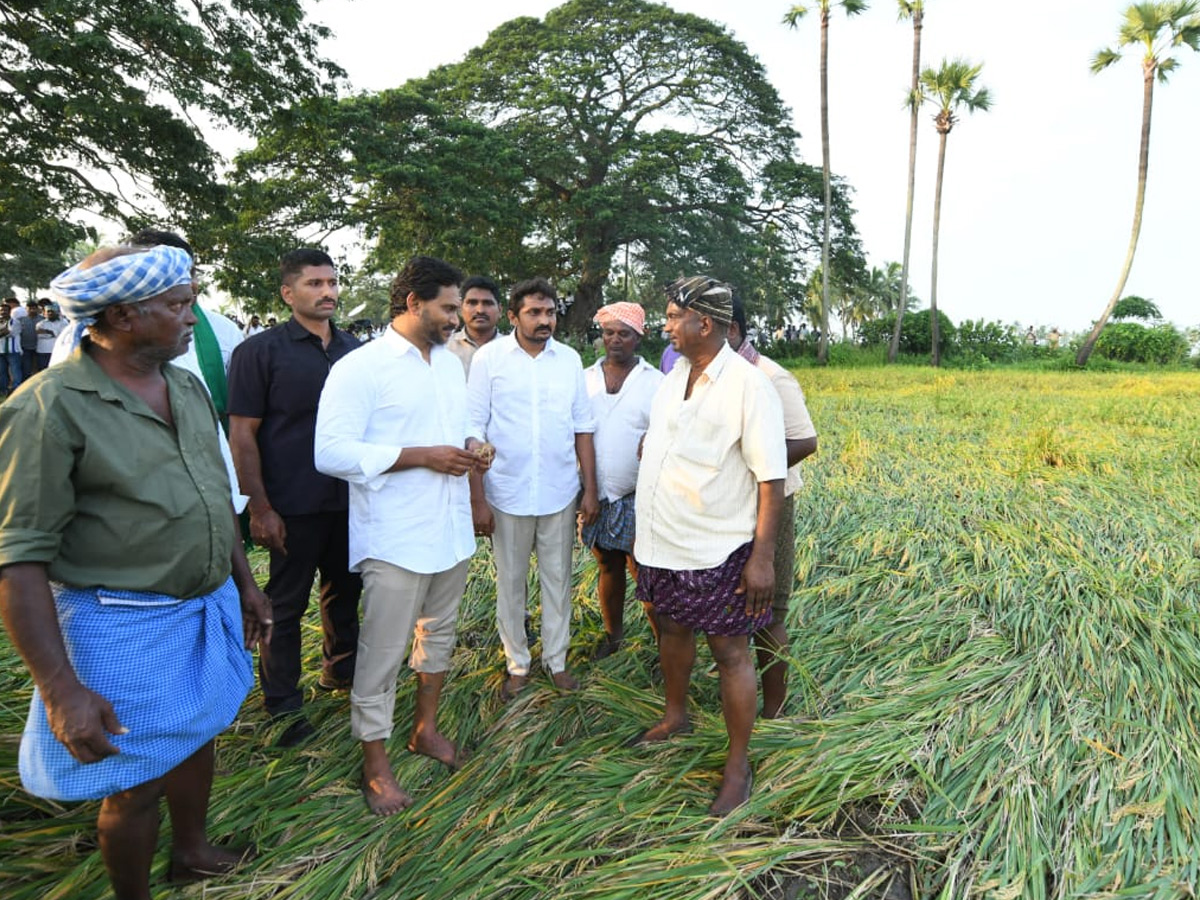 YS Jagan visits cyclone Hit farmers In Krishna District PHotos11