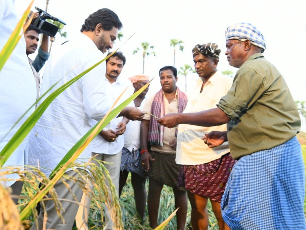 YS Jagan visits cyclone Hit farmers In Krishna District PHotos32