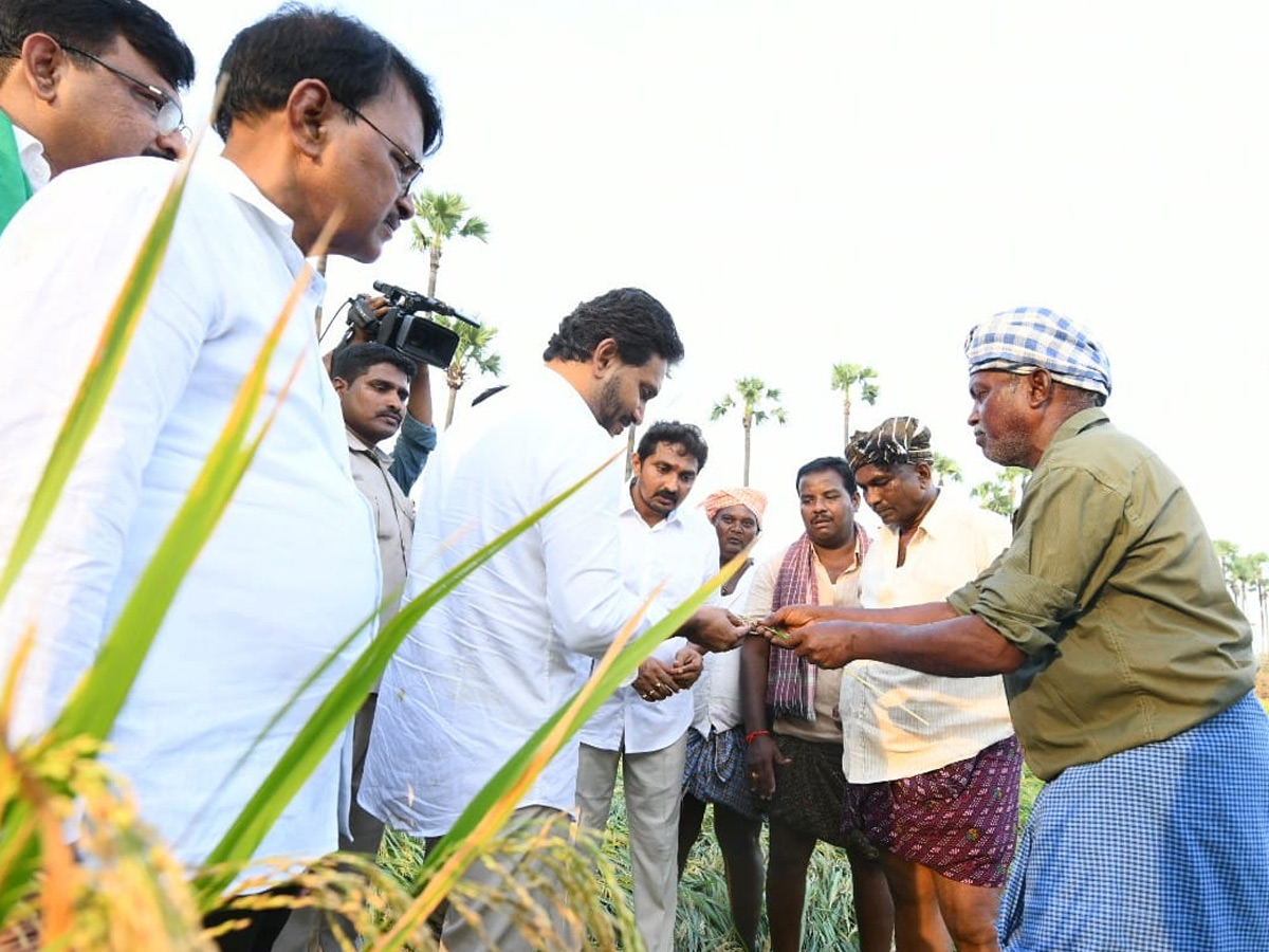 YS Jagan visits cyclone Hit farmers In Krishna District PHotos33
