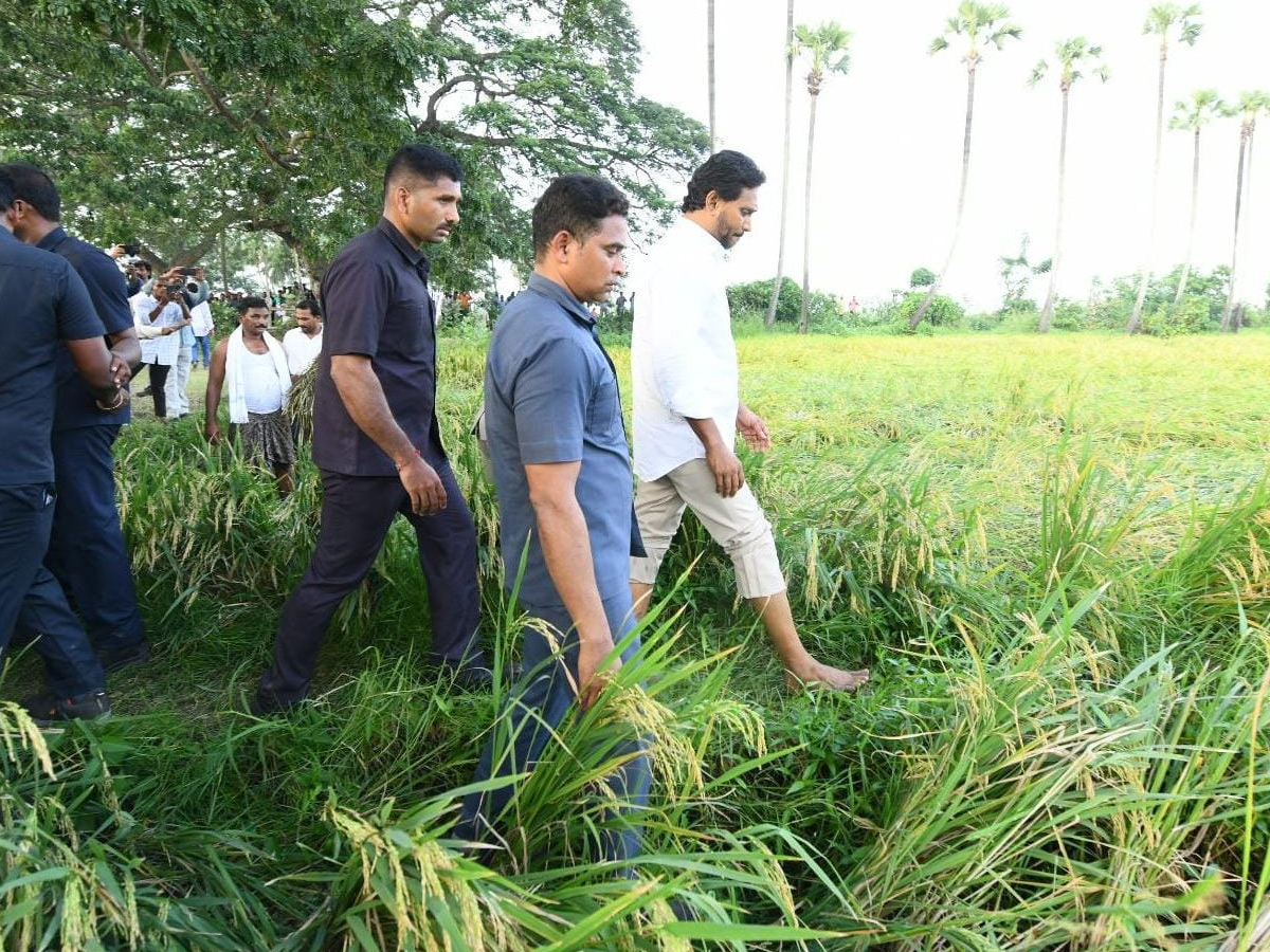 YS Jagan visits cyclone Hit farmers In Krishna District PHotos34