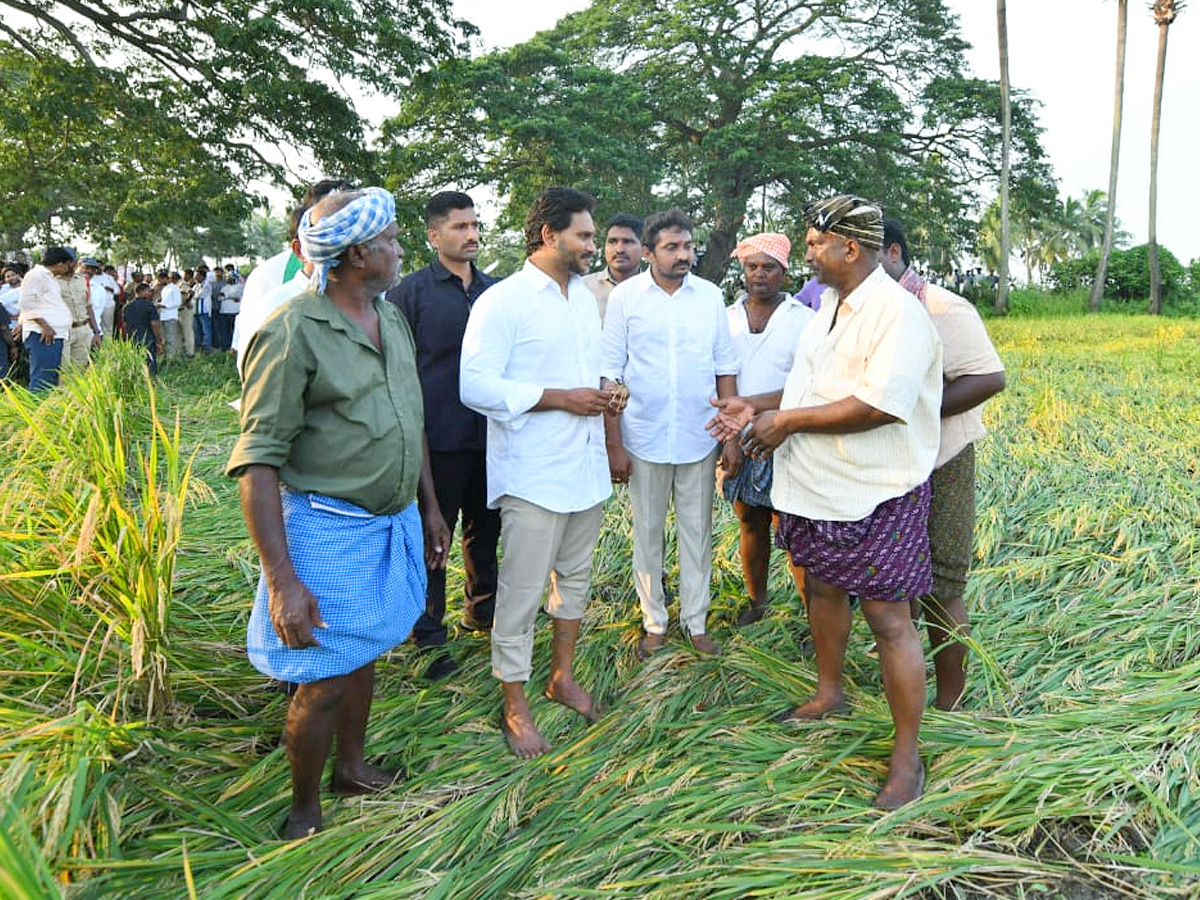 YS Jagan visits cyclone Hit farmers In Krishna District PHotos12