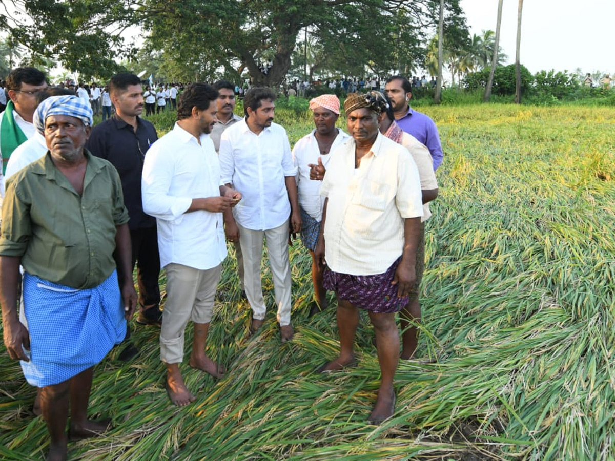 YS Jagan visits cyclone Hit farmers In Krishna District PHotos13