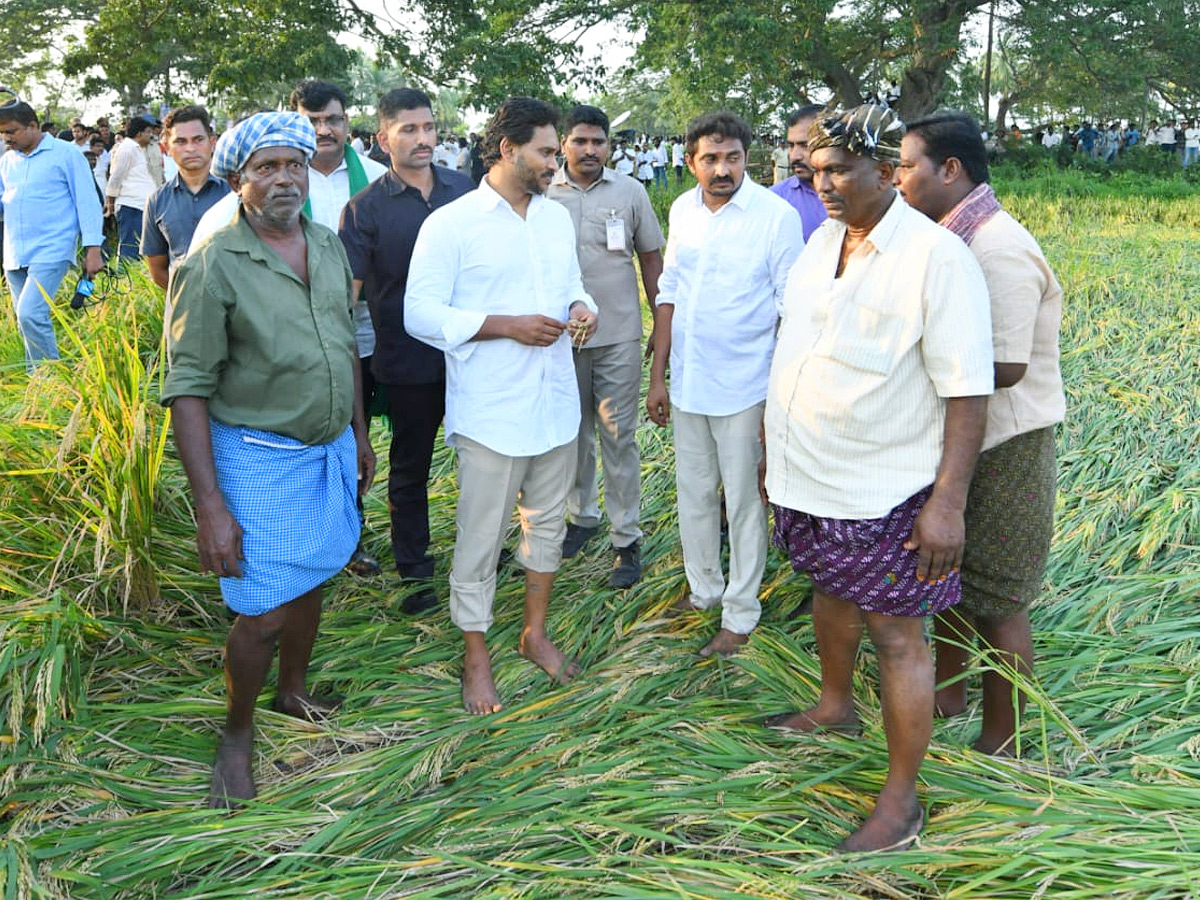 YS Jagan visits cyclone Hit farmers In Krishna District PHotos14