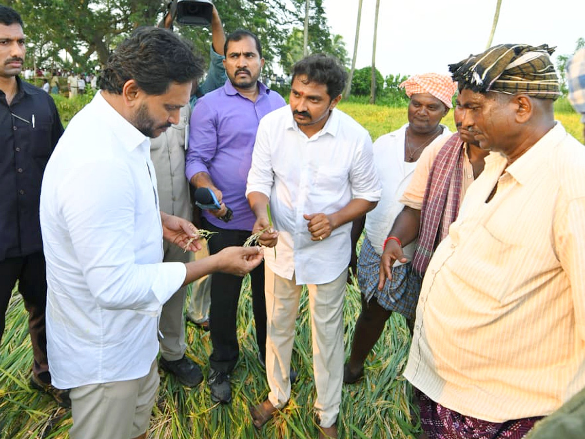 YS Jagan visits cyclone Hit farmers In Krishna District PHotos15