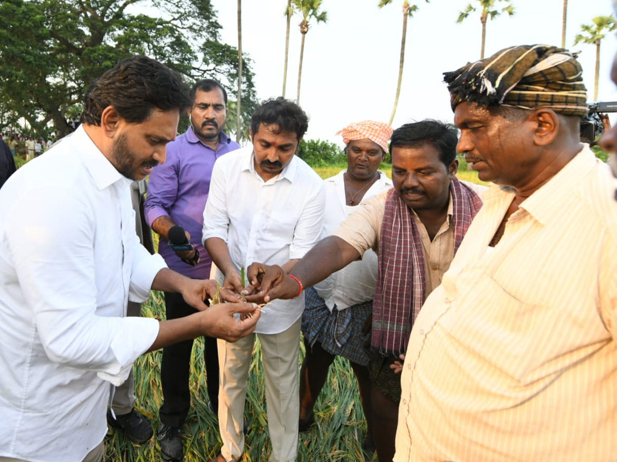 YS Jagan visits cyclone Hit farmers In Krishna District PHotos16