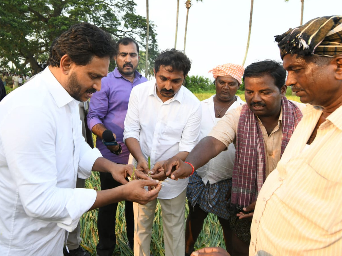 YS Jagan visits cyclone Hit farmers In Krishna District PHotos17