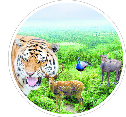 సన్నద్ధం1