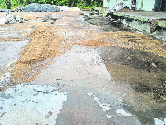 మళ్లీ వర్షం.. రైతుల పరేషాన్‌
2