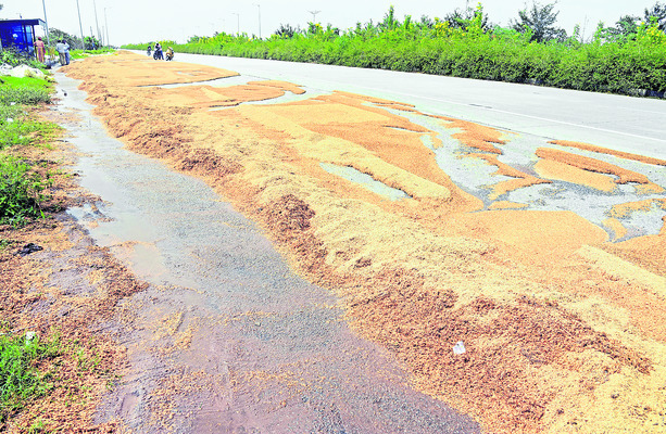 తడిసిన పత్తి.. మక్క నేలపాలు2