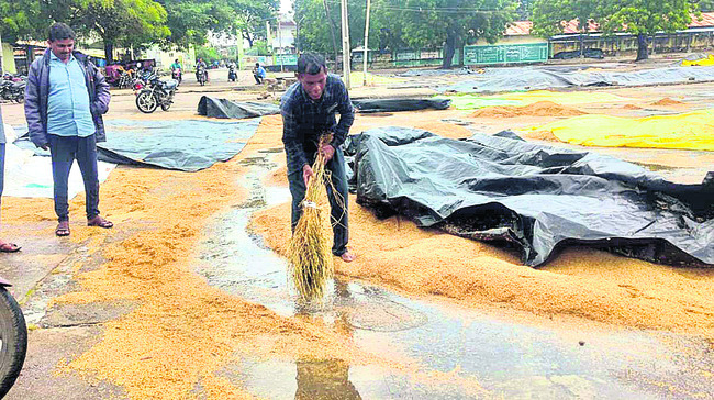 వాన.. హైరానా1