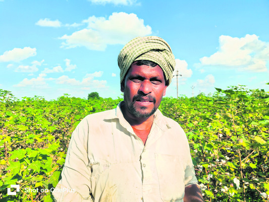 పత్తి ఏరేందుకు కూలీల కొరత1