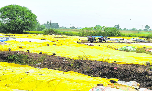 వాన.. హైరానా2