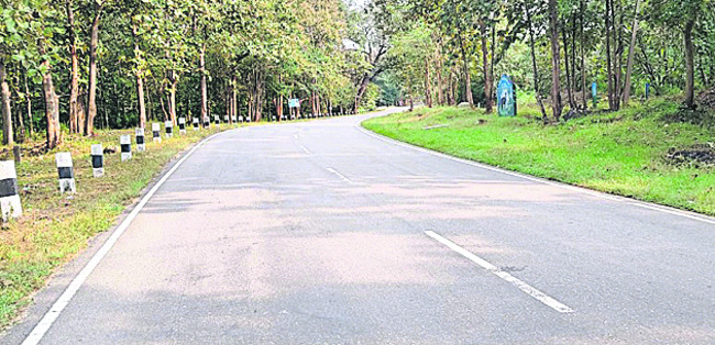 మృత్యు మార్గాలు!1