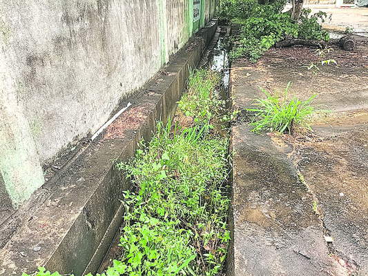 రైతుల పాట్లు1