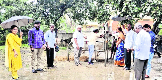 11 మెడికల్‌ షాపులకు షోకాజ్‌ నోటీసులు జారీ 
1