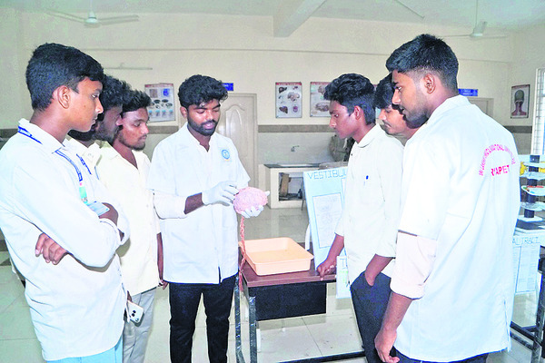 మానవ అవయవాల పనితీరు ఇలా..1