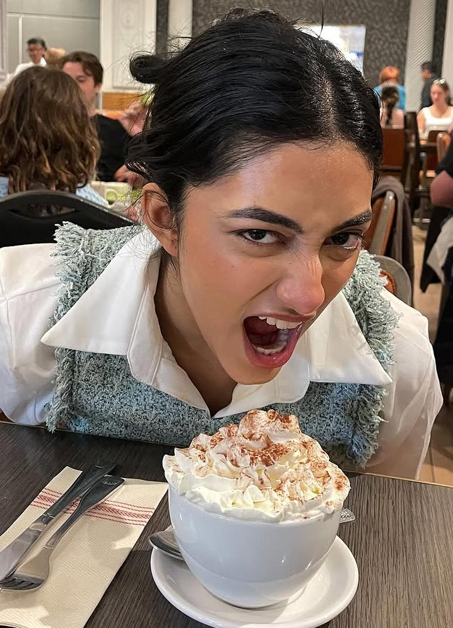 Kannappa heroine Preethi Mukundan in New York.. photos4