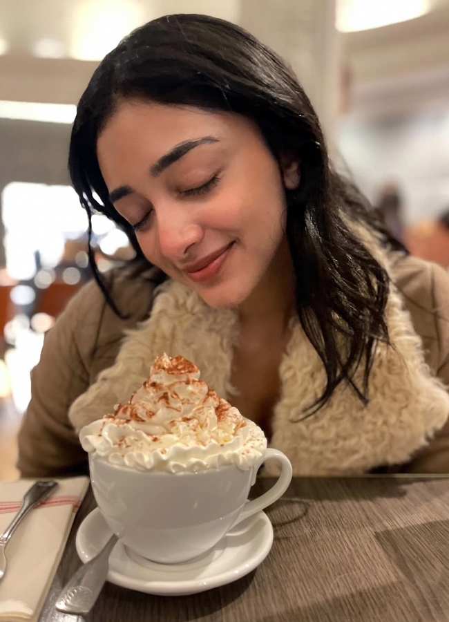 Kannappa heroine Preethi Mukundan in New York.. photos7