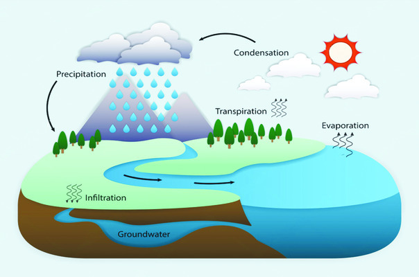 ● సగటు 9.5 మీటర్లు 1