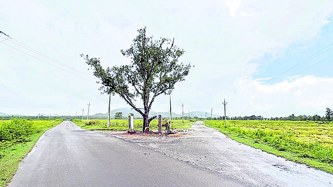 మురిపిస్తున్న మన్యం అందాలు 1