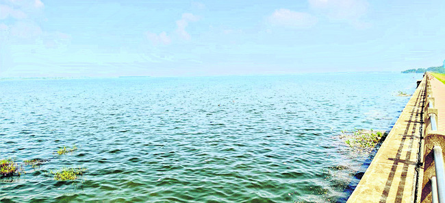 యాసంగికి రెడీ1