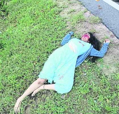 కుక్కను తప్పించబోయి కారు బోల్తా1