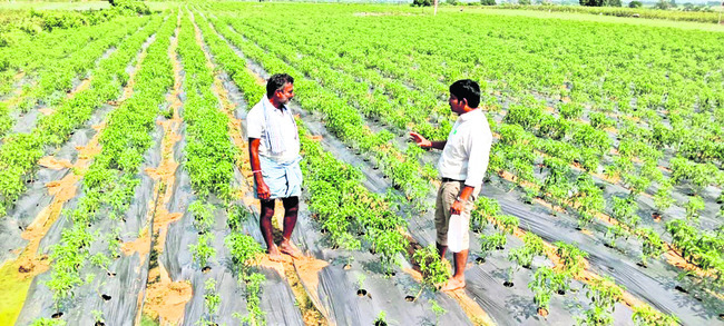 ‘ఎస్సారెస్పీ కాల్వకు  నర్సింహారెడ్డి పేరు పెట్టాలి’
1