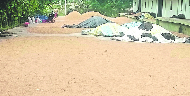 11న కలెక్టరేట్‌ వద్ద దీక్ష1