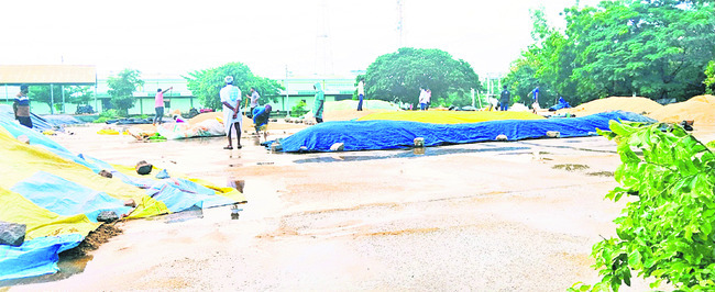 అకాల వర్షం.. తడిసిన ధాన్యం 
2