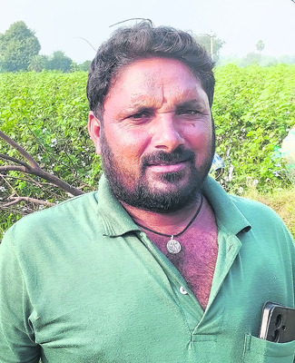 కూలీల కొరత.. రైతు వ్యథ2