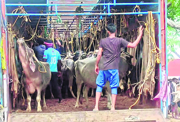 తనిఖీలు ముమ్మరం 1