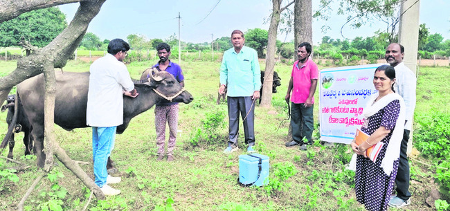 ‘ఉపాధి’ పనులనుపర్యవేక్షించాలి 
2