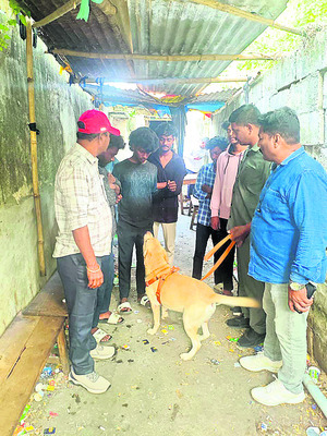 పట్టాల పండుగ!3