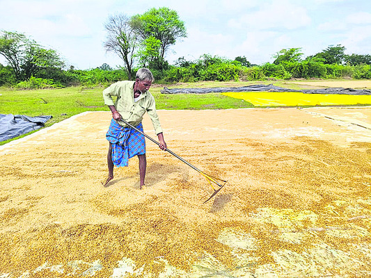 కదలని ధాన్యం.. రైతుల దైన్యం1